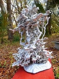 Aluminum Ant Hill Cast