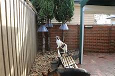 Metal Fence