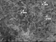 Metal Powders