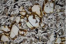 Olivine