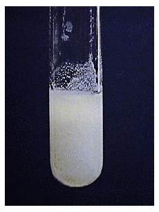 Zinc Carbonate