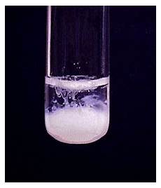 Zinc Carbonate