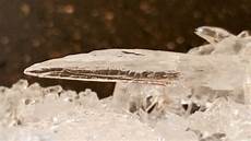 Zinc Chloride
