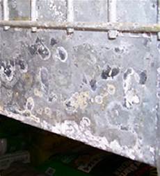 Zinc Coating