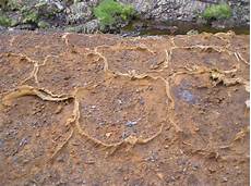Zinc Concentrates