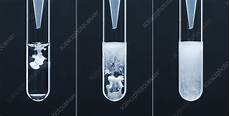 Zinc Sulfate